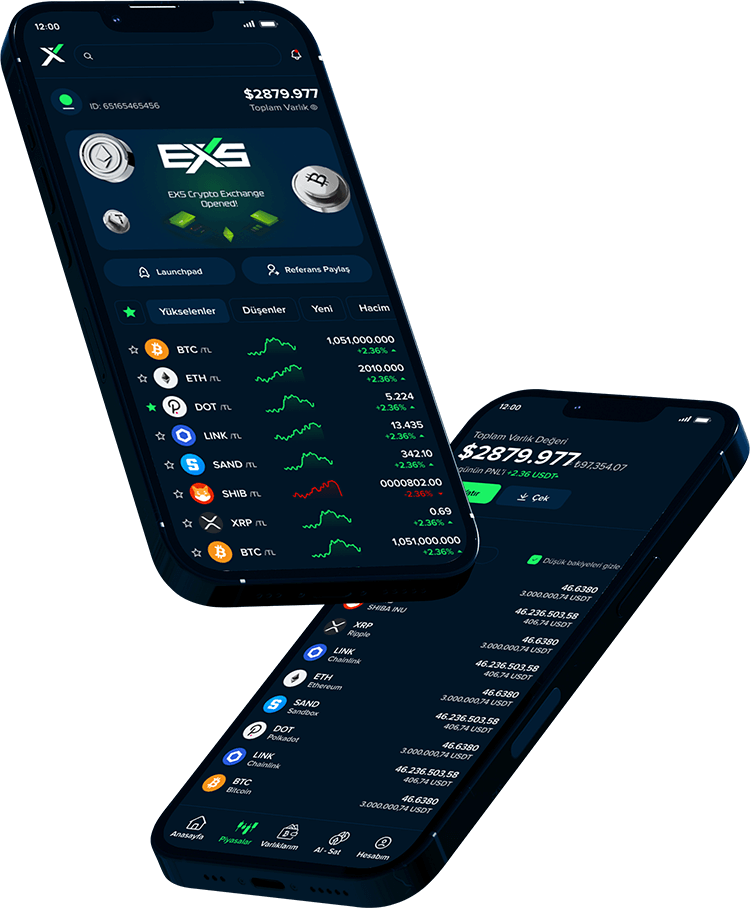 EX5 App on mobile phone